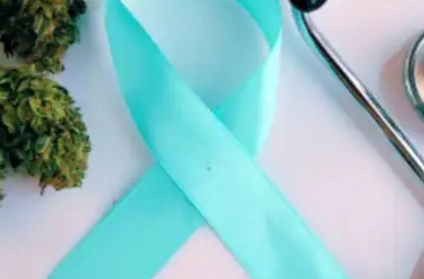  Cannabis Significantly Improves Symptoms For Most Cancer Survivors, Confirms New Study