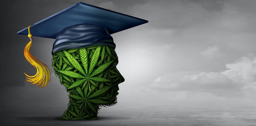 College applications rose in states that legalized recreational marijuana