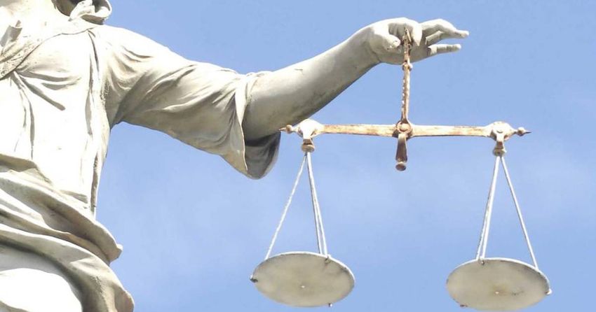  Woman (30s) arrested following seizure of cannabis valued at €500,000 in Kildare charged