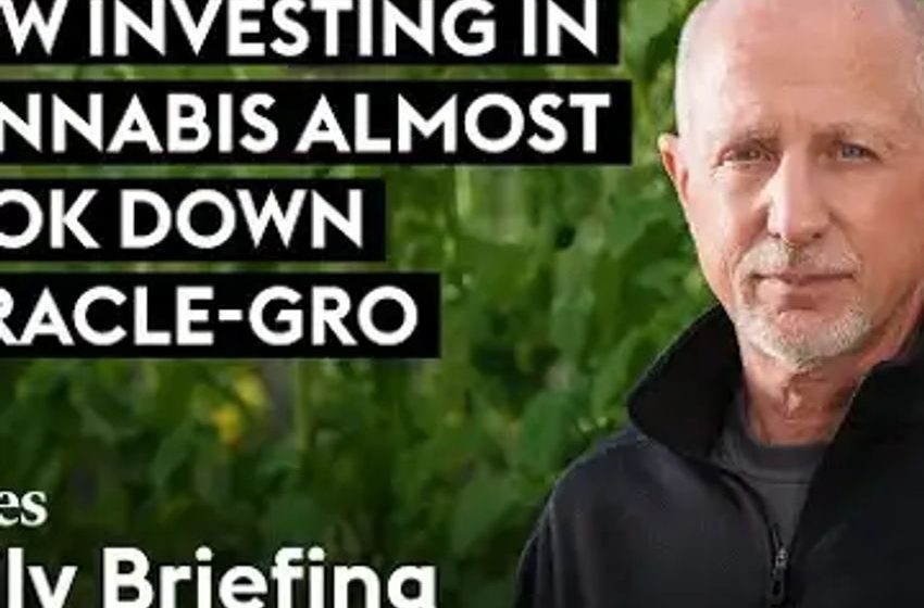  Weed Kills: How Investing In Cannabis Almost Took Down Scotts Miracle-Gro