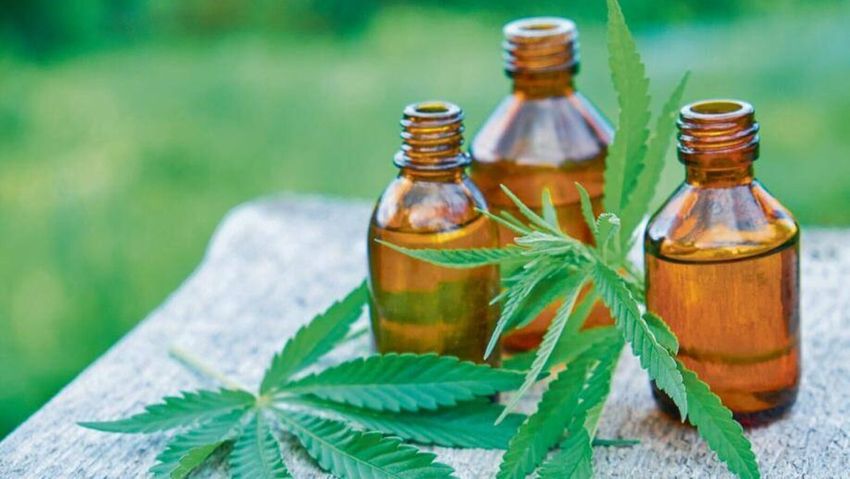  Cannabis-based drug launched to treat epilepsy in children