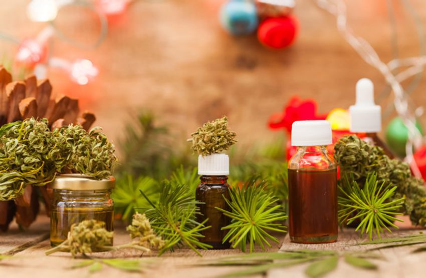  HRB: Evidence to support medicinal cannabis use for most conditions is ‘inconsistent at best’