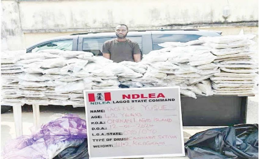  NDLEA nabs 42-year-old, seizes Canadian Loud consignment