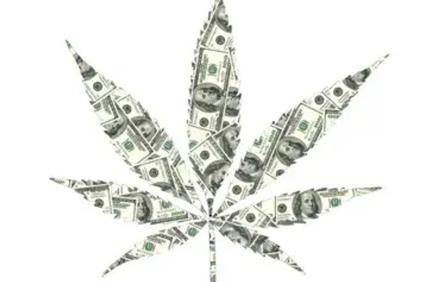 Why Tilray Brands Stock Crashed 10% on Tuesday