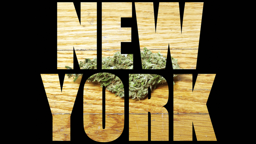  NY Plans to Let You Grow 5lbs of Weed at Home