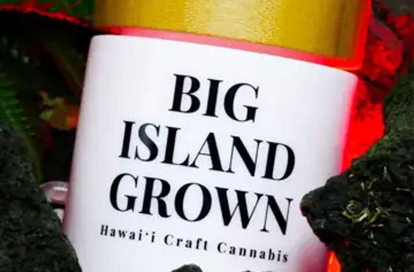  Hawaii’s Cannabis Landscape From Farm To Gummy, The Rise Of ‘Big Island Grown’