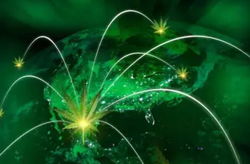  Asia-Pacific Weed Advertising Rules, Canada’s Cannabis Sales And More Marijuana Global Updates