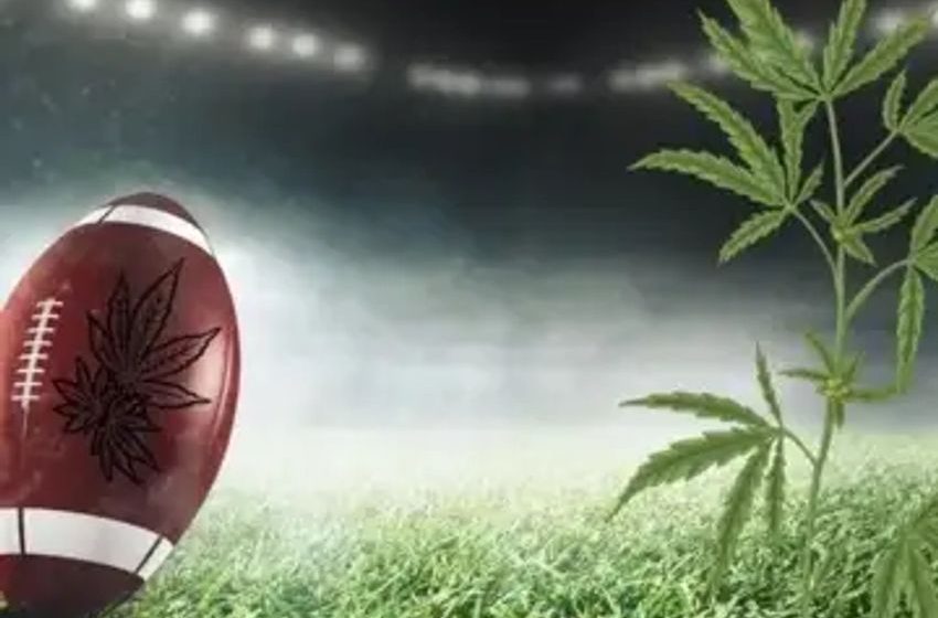  NFL Cannabis Policy Shift Toward Embracing CBD Research For Tackling Concussions And Pain