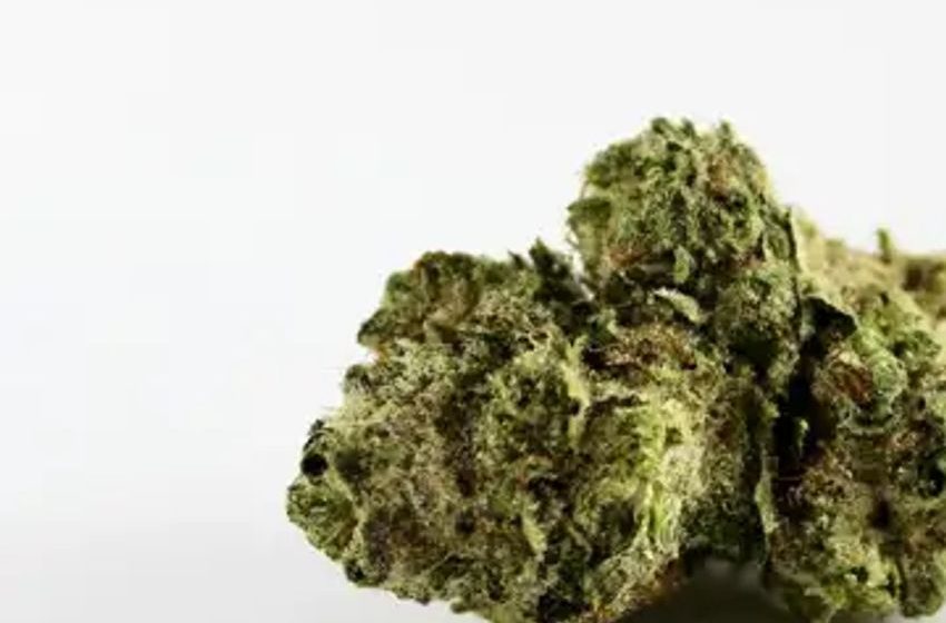  Cannabis Without The Cough: The Best Marijuana Smoking Devices
