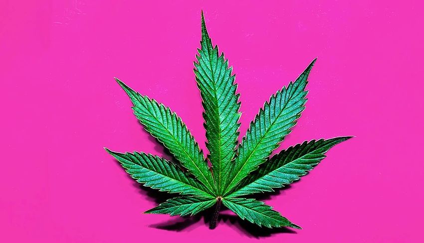  Cannabis Products Pose Stroke, Heart Attack Risks