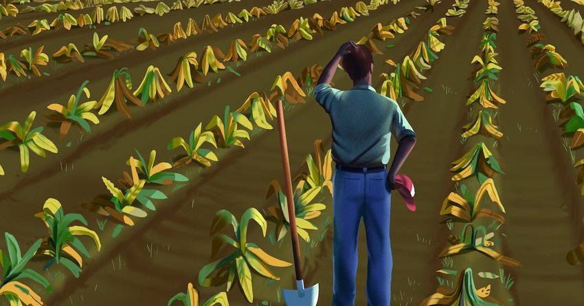  Resolved: The U.S. Should Stop Growing Tobacco