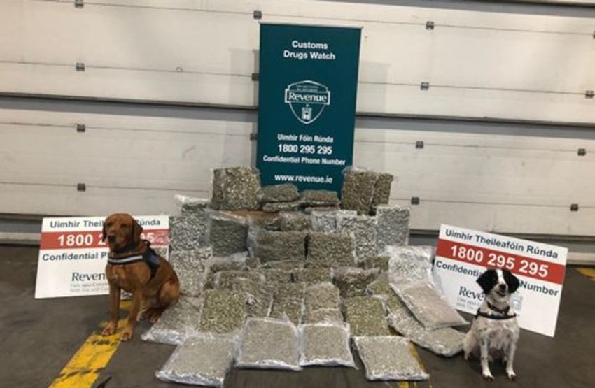  Over €1.2 million worth of herbal cannabis seized in Dublin and Louth