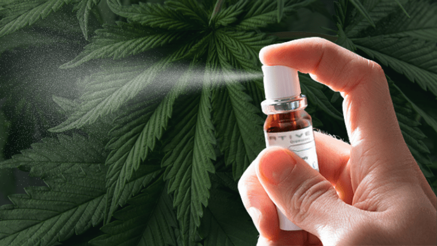  South Carolina: Senate Advances Medical Cannabis Access Legislation