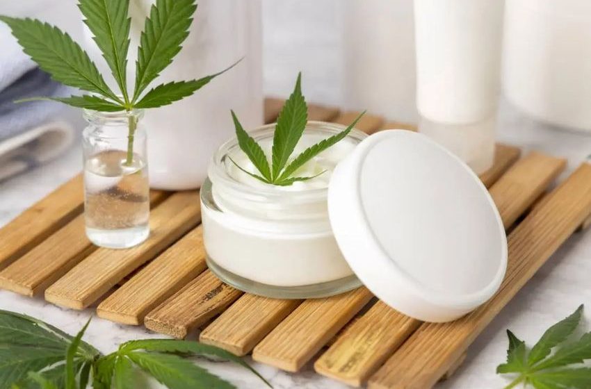 Facts About CBD Salve That You Should Know