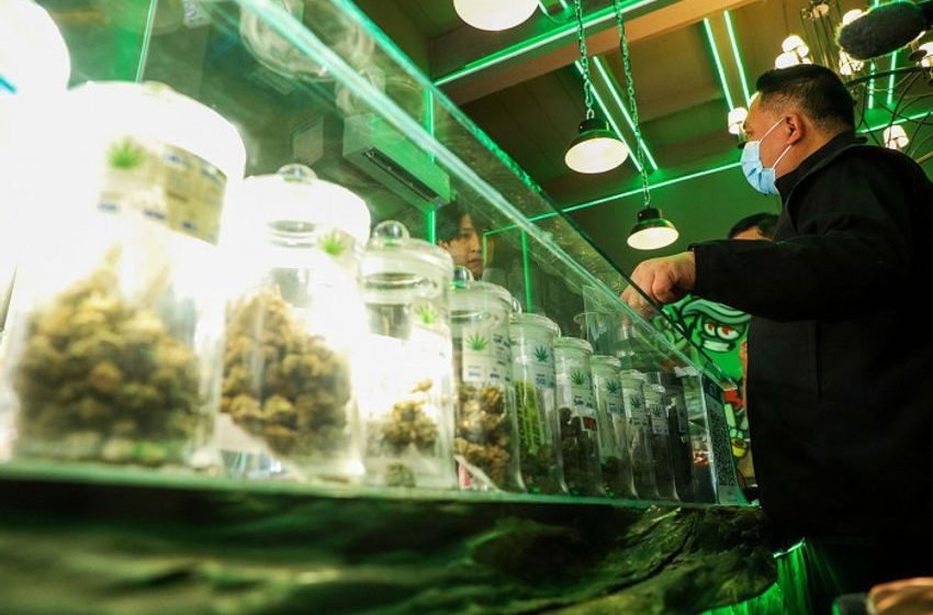  Health ministry proposing ban on recreational cannabis use