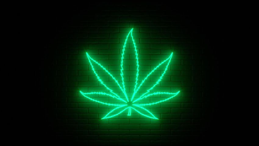  High Impact: Igniting Your Cannabis Brand’s Social Media