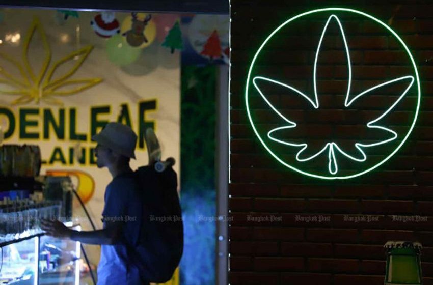  Tawee wades in on legal weed debate