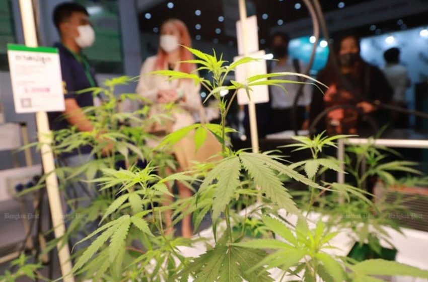  New cannabis bill ‘restricts freedoms’