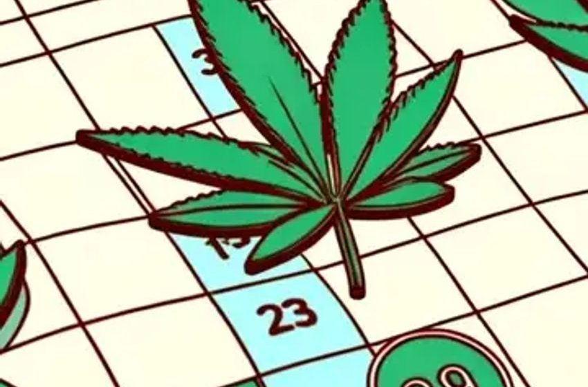  How Many Joints A Day Are Safe? Researchers Identify Methods For Weed Consumption Within Healthy Limits