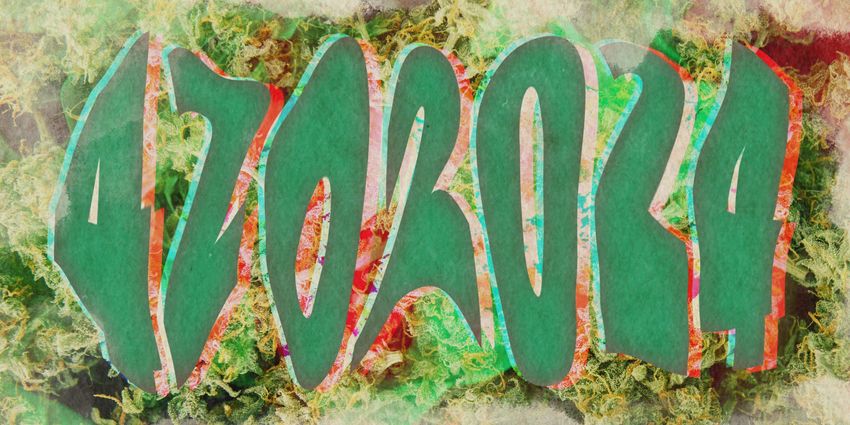  4/20/2024 is a ‘palindrome day’: This year, 4/20 isn’t just for the stoners—it’s for the nerds, too