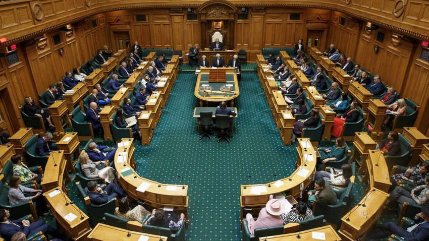  Audrey Young: Top 10 maiden speeches by 2023′s new MPs