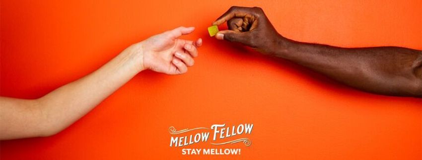  Accessible Cannabis Blends – Mellow Fellow Presents Itself as a Leading Figure in the Industry (TrendHunter.com)