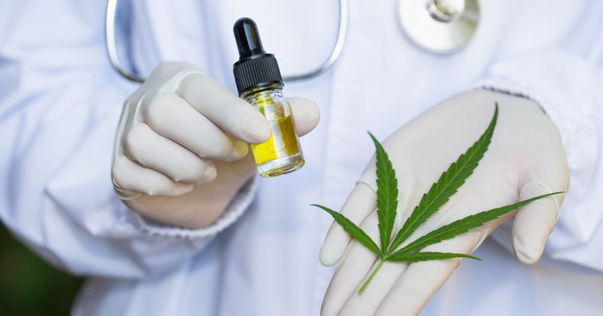  Cannabis extract found to slow melanoma cell growth & trigger cell death
