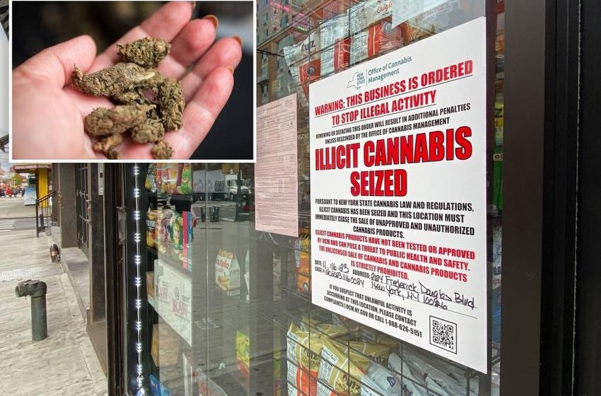  Illegal NYC weed shop worker attacked investigator who tried to shut down store