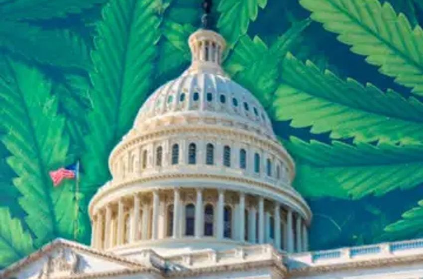  GOP Lawmakers Gripe About THC Potency, Anti-Cannabis Group Pushes Research Resolution