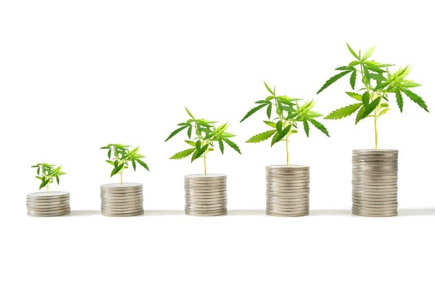  NewLake Capital: Separating The ‘Weed’ From The Chaff