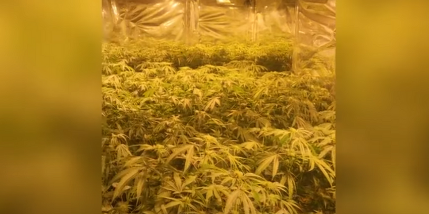  Residents in Maine thought there was a house fire, it ended up being a massive drug bust