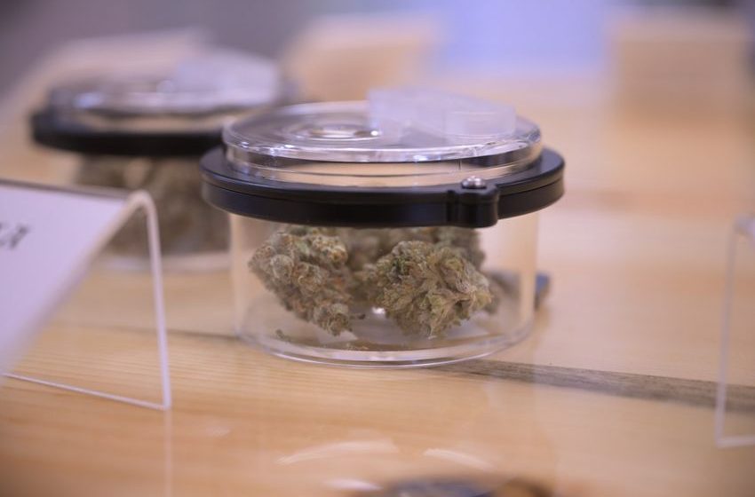  Brighton to allow marijuana stores for the first time