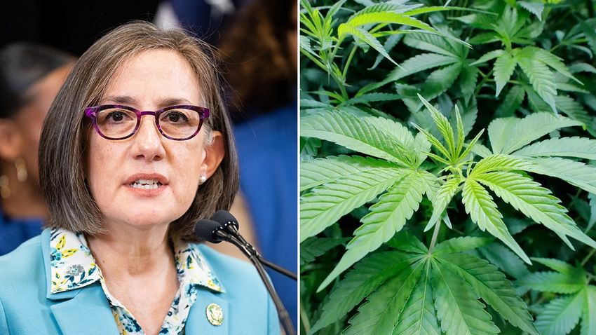  House Dem accused of accepting ‘illegal’ campaign donations from controversial marijuana dispensary chain