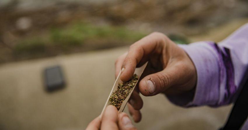  Cannabis may be the gateway out of drug addiction