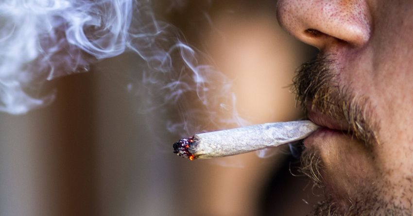  Using marijuana as little as once per month linked to higher risk of heart attack and stroke