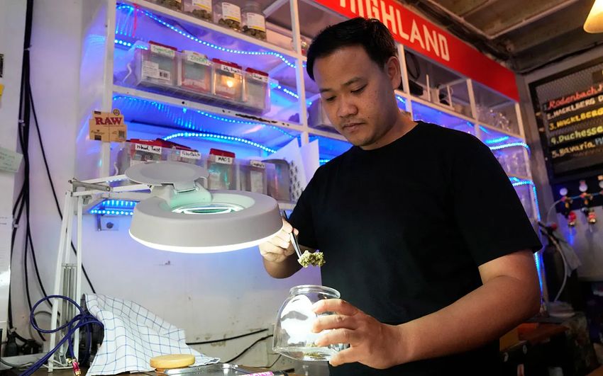  Thai lawmakers consider ban on recreational marijuana 2 years after legalization
