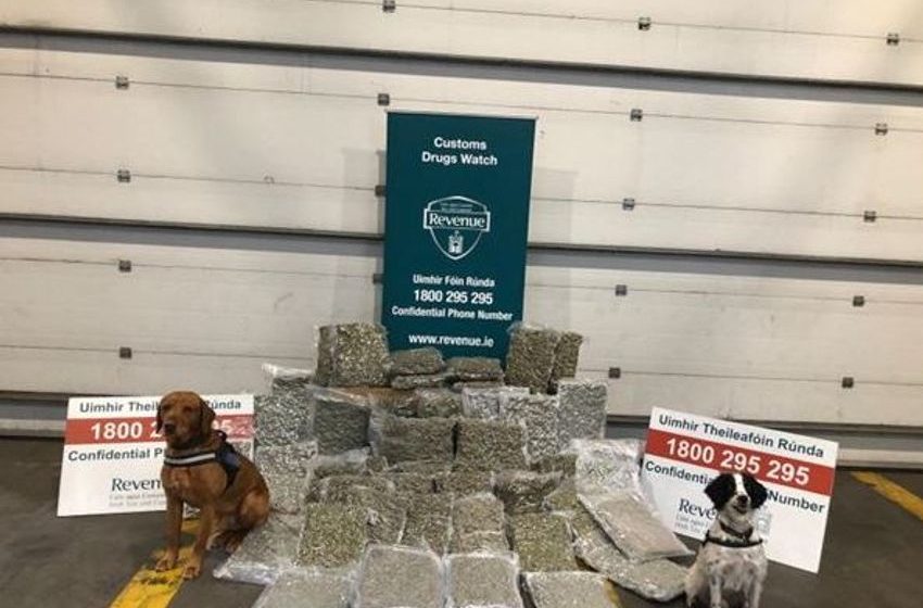  Cannabis worth more than €1m seized by Revenue with help of detector dogs in Dublin and Louth