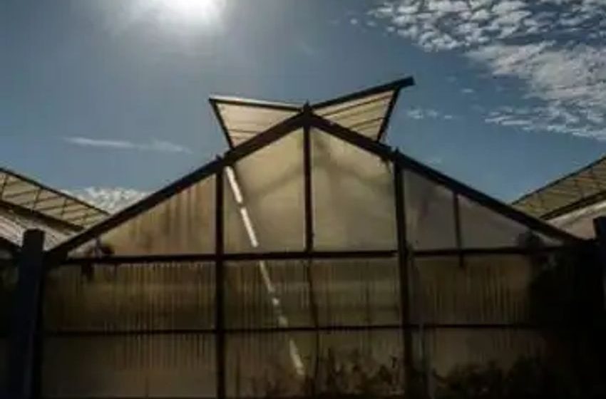  50 Lawmakers Demand AG Garland Explain Illegal CCP-Linked Marijuana Farms
