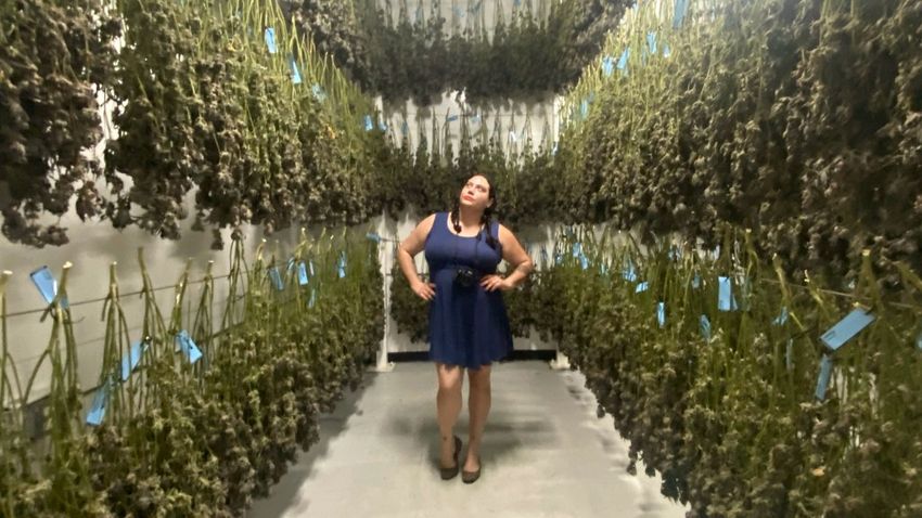  Opinion: Weed-bros still cling to a “booth babes” and “no girls in the grow” sexist mentality