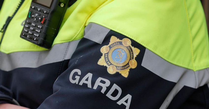  Man remanded on bail in connection with seizure of more than €1m worth of cannabis