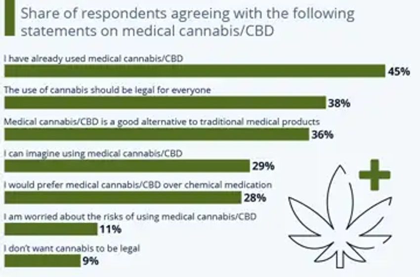  What Americans Think About Medical Cannabis