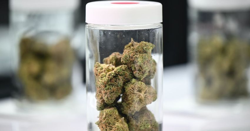Marijuana use has increased in Minnesota. So have poison control calls.