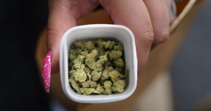  East Petersburg marijuana dispensary workers seek to form a union