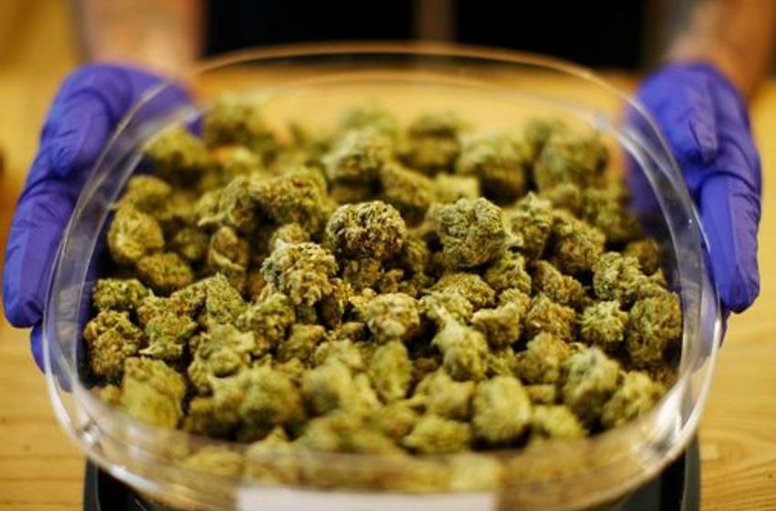  Massachusetts marijuana companies had record-breaking sales in 2023