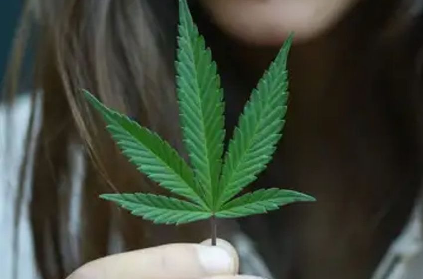  Cannabis Comeback: 3 Stocks to Snag After the Bubble Burst