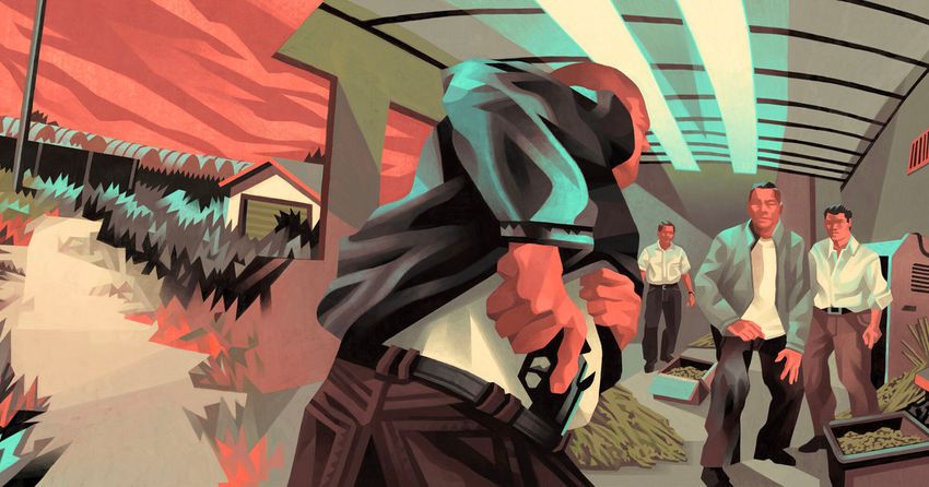  Gangsters, Money and Murder: How Chinese Organized Crime Is Dominating America’s Illegal Marijuana Market