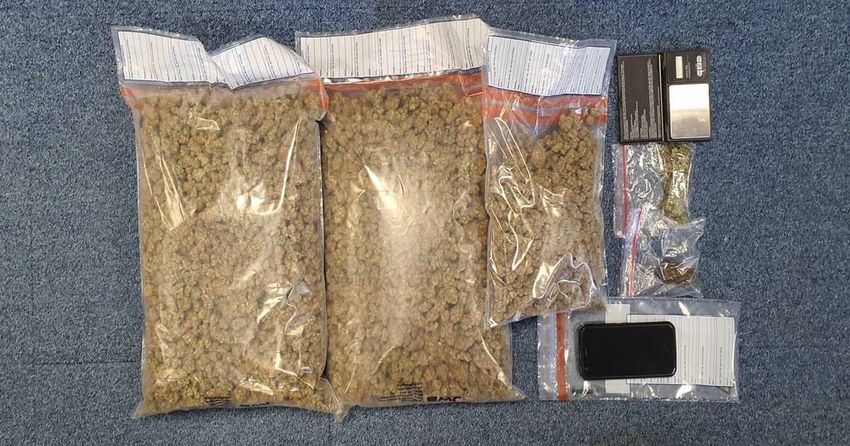  Ten charged and €85,000 worth of cannabis seized in Garda operation in Wexford
