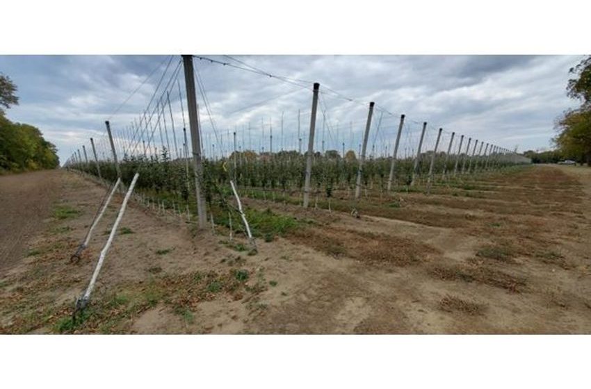  Water Ways Receives Fourth Apple Grove Smart Irrigation System Order in Canada