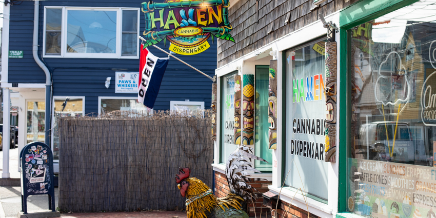  The ultimate guide to cannabis in Provincetown