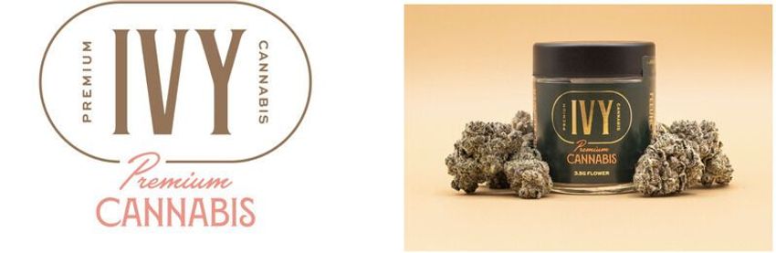  Dispensary-Launched Premium Cannabis Lines – Ivy Hall Dispensaries Debuts the Ivy Premium Line (TrendHunter.com)